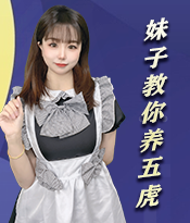 五虎神将·羽、云设计理念曝光