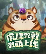 华南虎公益活动开启！虎啸山林 一路守护